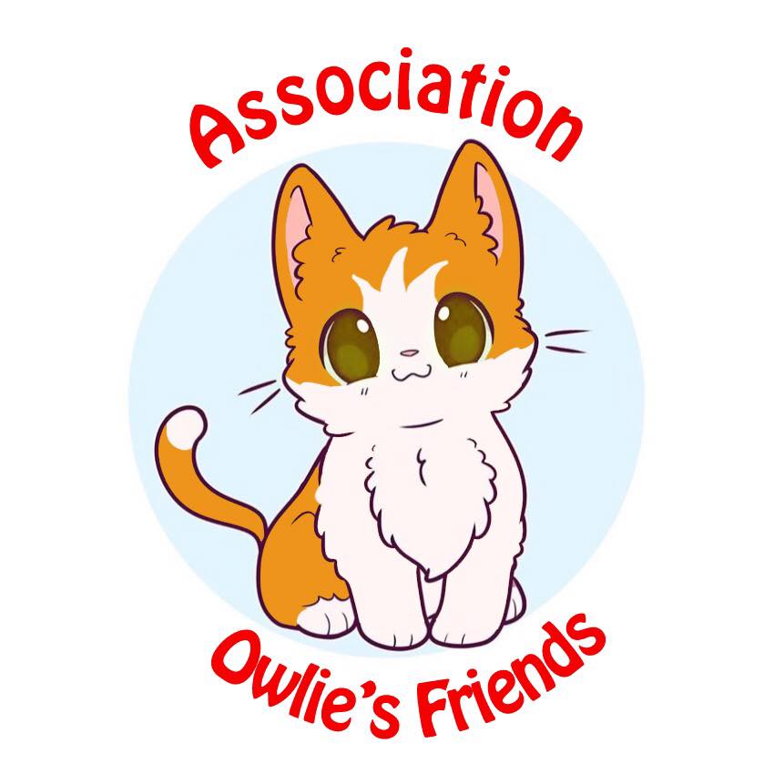 logo de l'association représentant le chat Owlie qui est à l'origine de sa création ainsi que le nom de l'association