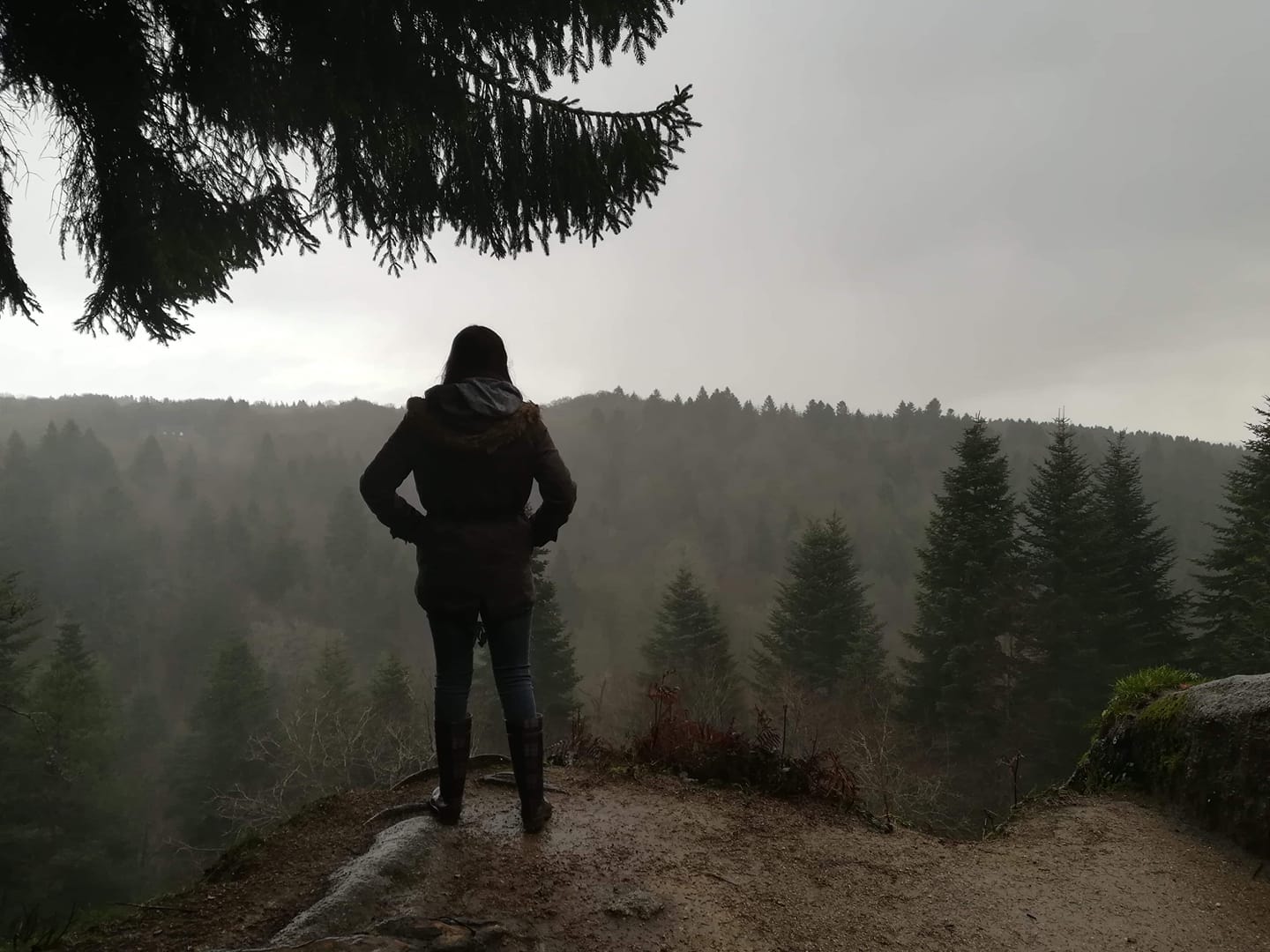 Image d'entête me représentant, debout de dos face à la forêt